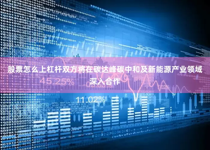股票怎么上杠杆双方将在碳达峰碳中和及新能源产业领域深入合作