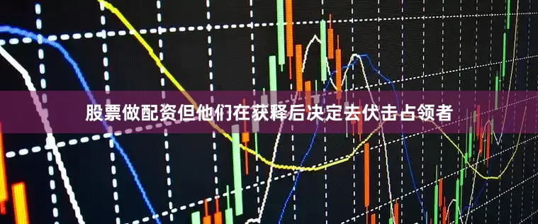 股票做配资但他们在获释后决定去伏击占领者