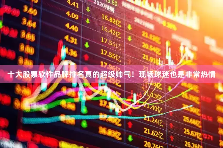 十大股票软件品牌排名真的超级帅气！现场球迷也是非常热情