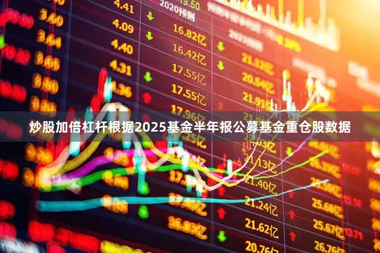 炒股加倍杠杆根据2025基金半年报公募基金重仓股数据