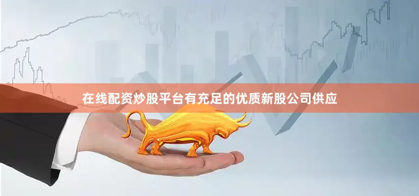 在线配资炒股平台有充足的优质新股公司供应